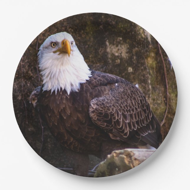 Plato De Papel Bald Eagle (Anverso)