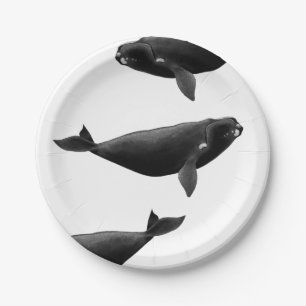 Plato De Papel Ballena derecha del Atlántico Norte Eubalaena glac