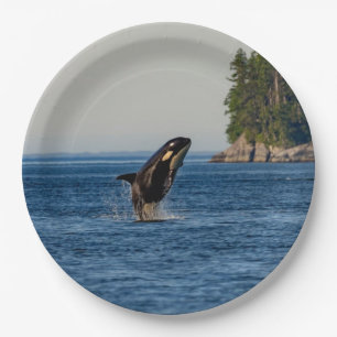 Plato De Papel Ballenas asesinas salen del agua del océano