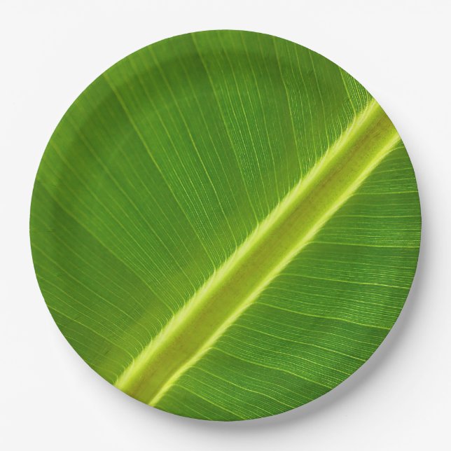 Plato De Papel Banana Leaf Macro (Anverso)