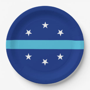 Plato De Papel Bandera de Anaheim (California, Estados Unidos)