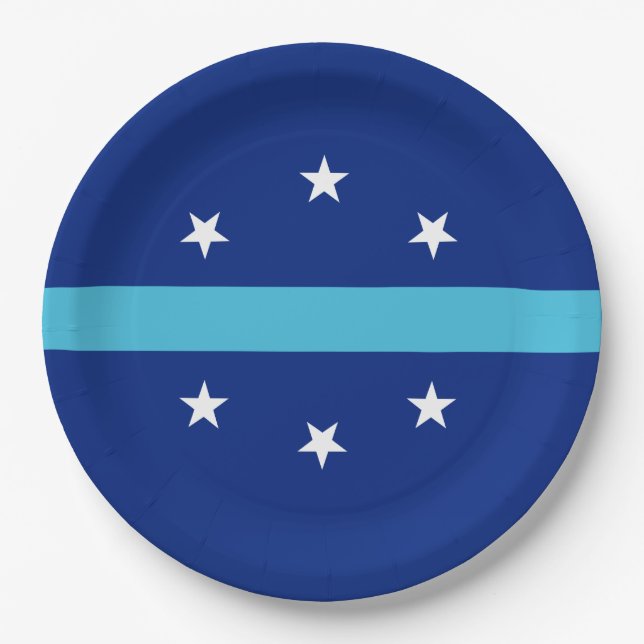 Plato De Papel Bandera de Anaheim (California, Estados Unidos) (Anverso)