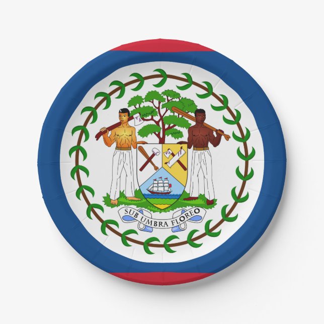 Plato De Papel Bandera de Belice (Anverso)