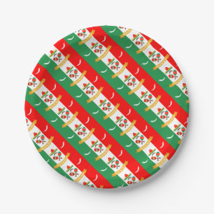Plato De Papel Bandera de Cinco De Mayo