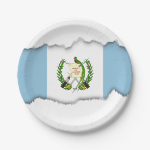 Plato De Papel Bandera de Guatamala