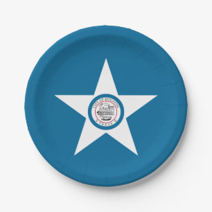 Plato De Papel Bandera de la ciudad de Houston, Texas Paper Plate