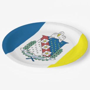 Plato De Papel Bandera de la ciudad de Shreveport (Luisiana)