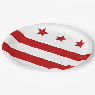 Plato De Papel Bandera de la ciudad de Washington D.C.