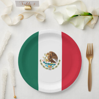Plato De Papel Bandera de México, Bandera de la República Mexican