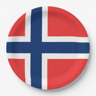 Plato De Papel Bandera de Noruega