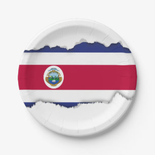 Plato De Papel Bandera de Rican de la costa