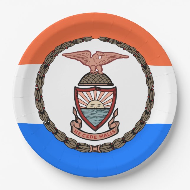 Plato De Papel Bandera del Bronx (barrio de Nueva York) (Anverso)