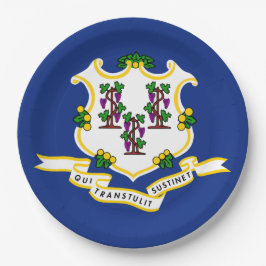 Plato De Papel Bandera estatal de Connecticut