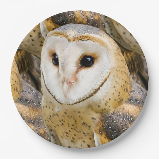 Plato De Papel Barn Owl (Anverso)