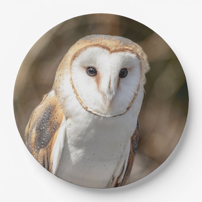 Plato De Papel Barn Owl (Anverso)