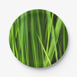 Plato De Papel Barras de hierba