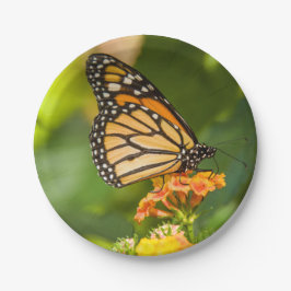 Plato De Papel base en cartón fota mariposa sobre una flor