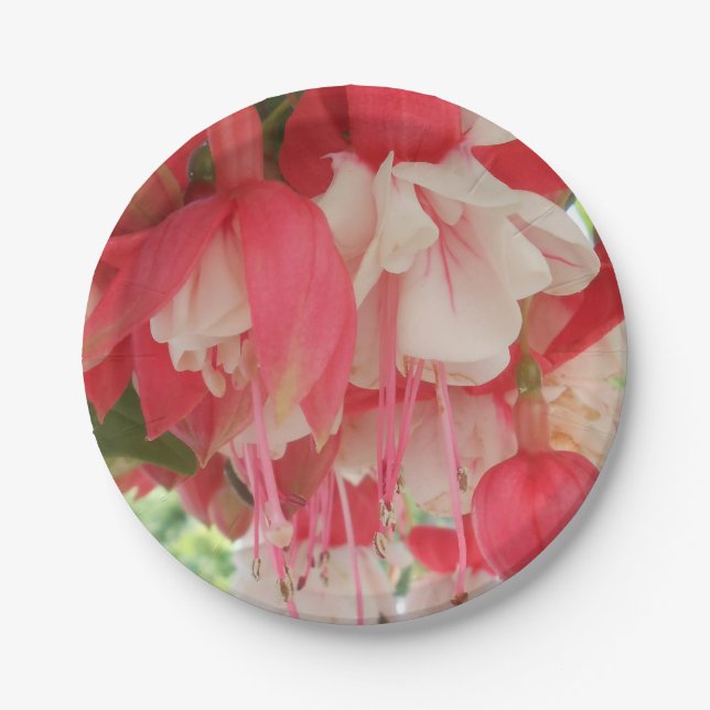 Plato De Papel Bashkirtseff (Anverso)