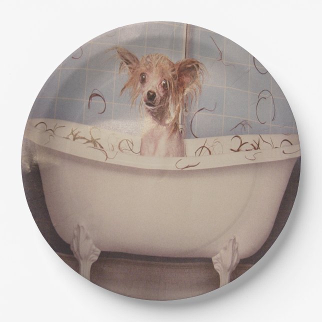 PLATO DE PAPEL BATHING PUPPY (Anverso)