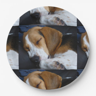 Plato De Papel beagle sleeping.png