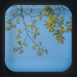 Plato De Papel beautiful branch with green and yellow leaves hug<br><div class="desc">beautiful branch with green and yellow leaves hugging a clear blue sky . a great design fitting for artists and nature lovers who adore the sight of a beautiful blue sky hugging green and yellow plants and trees. it can also be given as a gift during happy occasions to your...</div>