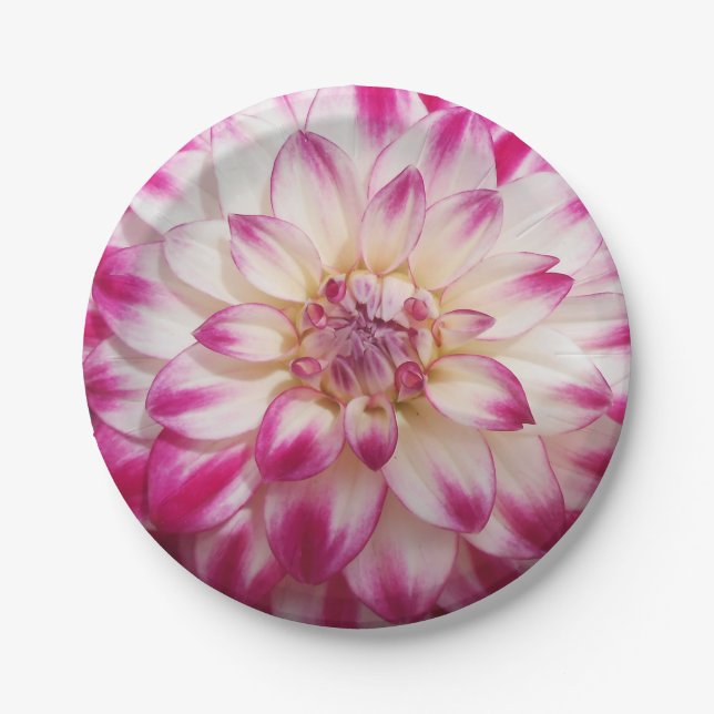 Plato De Papel Beaux (Anverso)