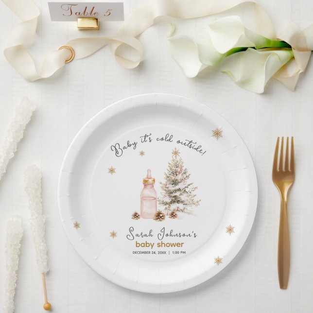 Plato De Papel Bebé, hace frío afuera de Winter Baby Shower (Boda)