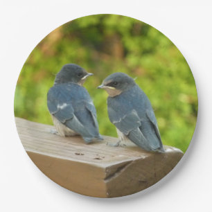Plato De Papel Bebé Traga fotografías de aves naturales