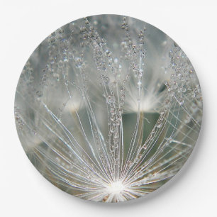 Plato De Papel Bellas gotas de agua