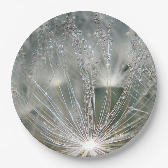 Plato De Papel Bellas gotas de agua (Anverso)