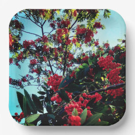 Plato De Papel Bellas rojas