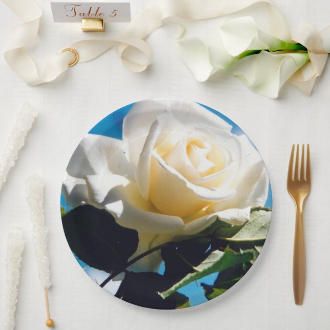 Plato De Papel Belleza rosa blanca (Boda)