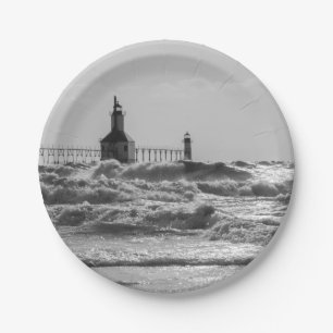 Plato De Papel Belleza Y Escala De Grises Forzadas