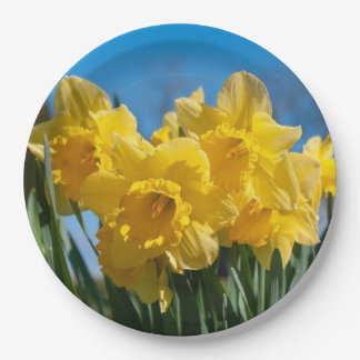 Plato De Papel Bellos Daffodis Amarillos