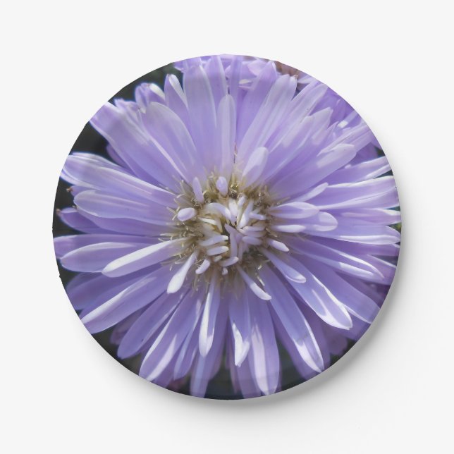 Plato De Papel Berlinette (Anverso)