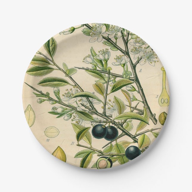 Plato De Papel Berry de flores antiguas de espinas negras (Anverso)