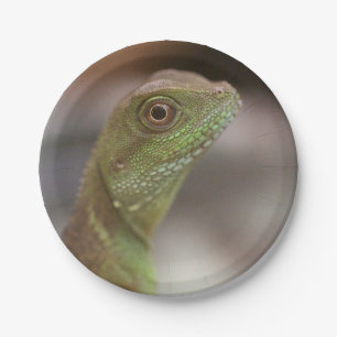 Plato De Papel Beso de Iguana
