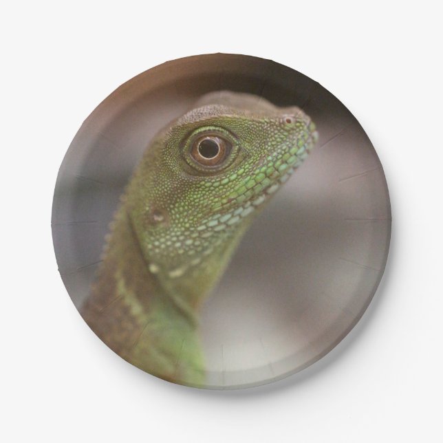 Plato De Papel Beso de Iguana (Anverso)
