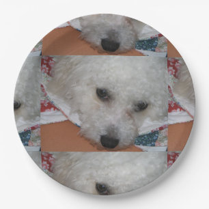 Plato De Papel Bichon Frisé.png