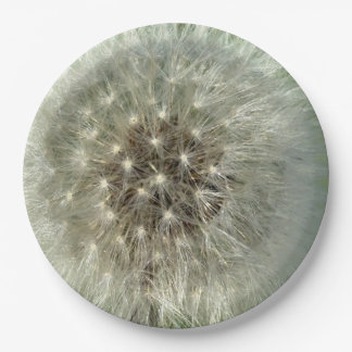 Plato De Papel Big White Dandelion