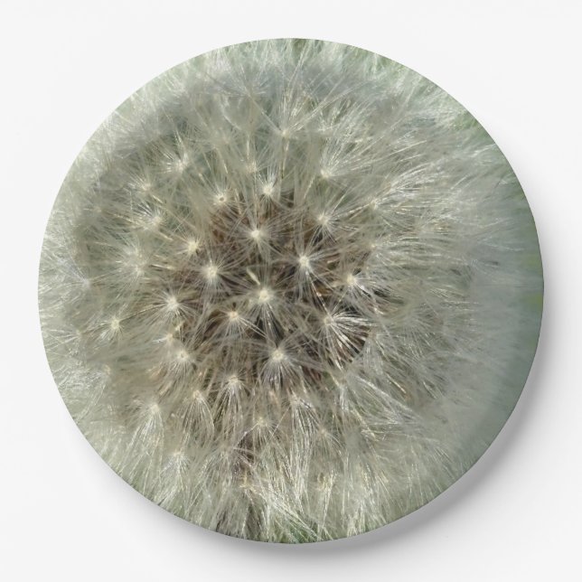 Plato De Papel Big White Dandelion (Anverso)