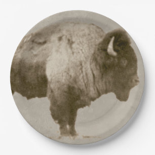 Plato De Papel Bisonte americano
