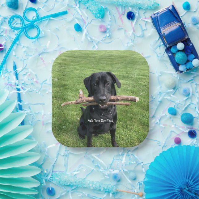 Plato De Papel Black Lab con dos palos Dog Photo and Name (Fiesta)