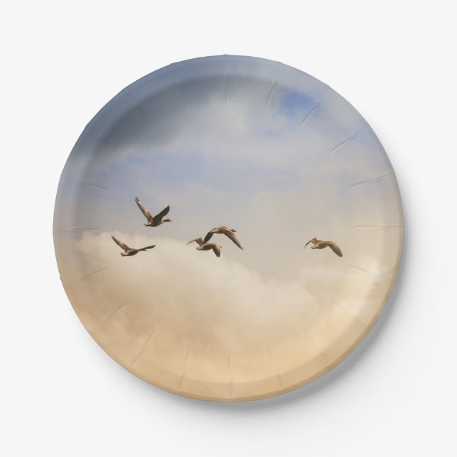 Plato De Papel Bloqueo de aves en vuelo (Anverso)