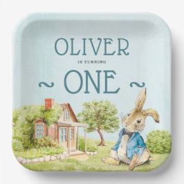 Plato De Papel Blue Peter Rabbit Boy First Birday