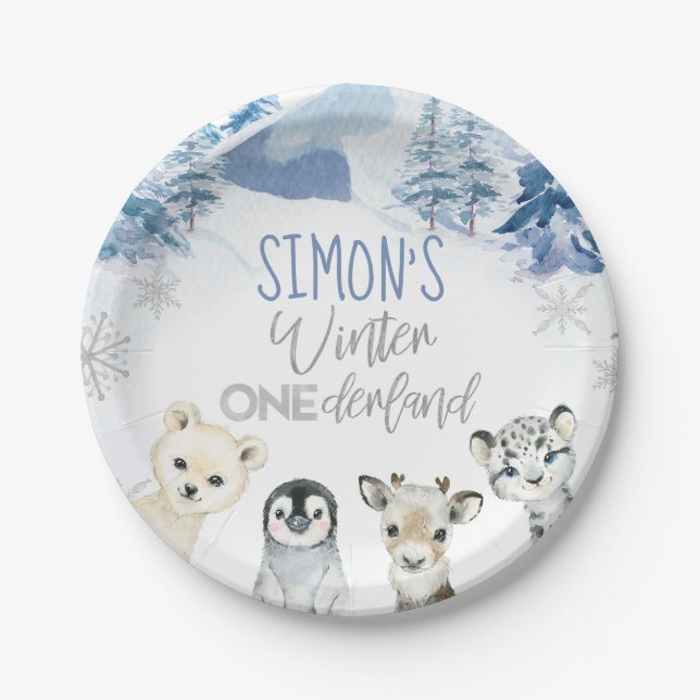 Plato De Papel Blue Silver Arctic Winter Cumpleaños de la Tierra  (Anverso)