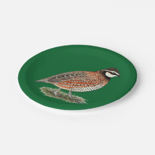 Plato De Papel Bobwhite Quail Rooster