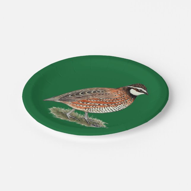 Plato De Papel Bobwhite Quail Rooster (Angular)