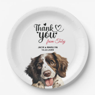 Plato De Papel Boda española Springer Spaniel Gracias