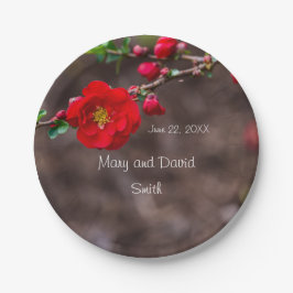 Plato De Papel Boda superior de cartón